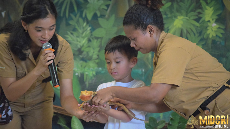 Zoobic Safari: The Ultimate Wildlife Adventure in Subic Bay, Philippines