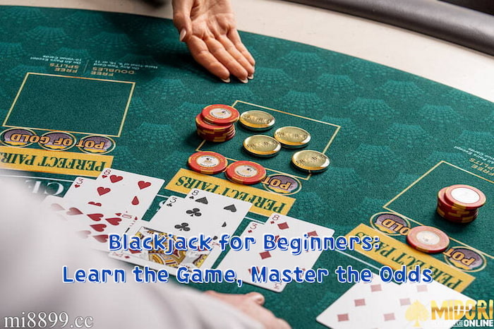 Blackjack for Beginners: Learn the Game, Master the Odds